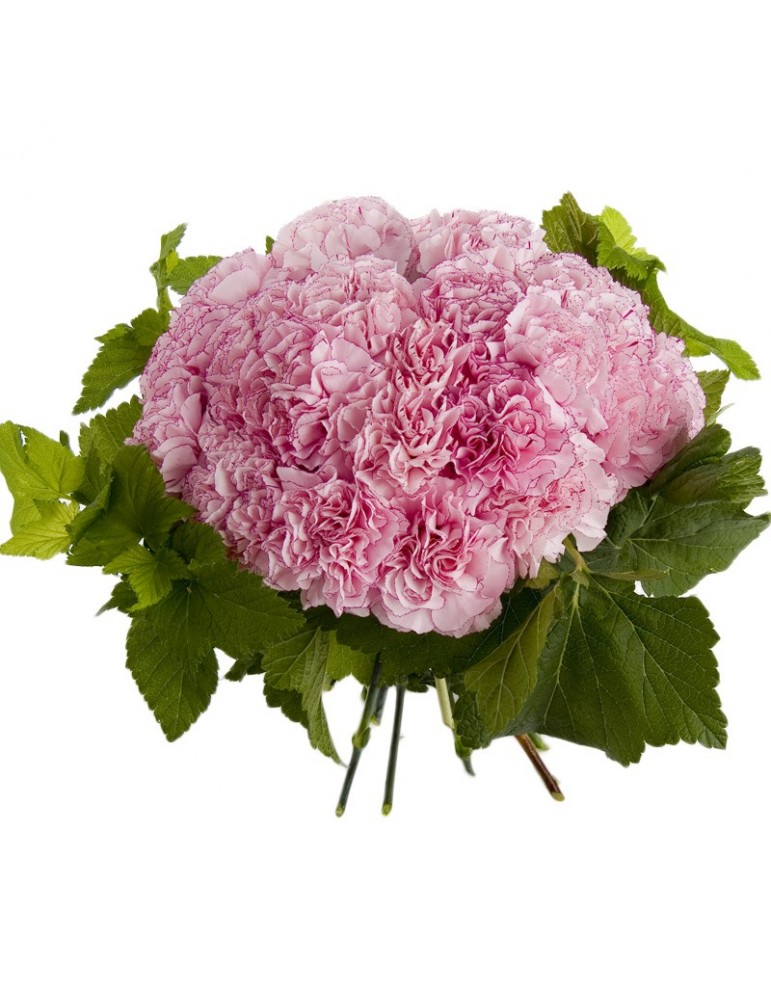 bouquet rond œillets