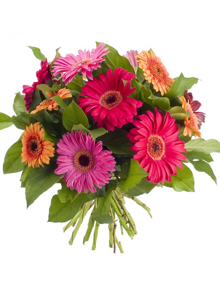 Bouquet rond gerberas et germinis multicolore