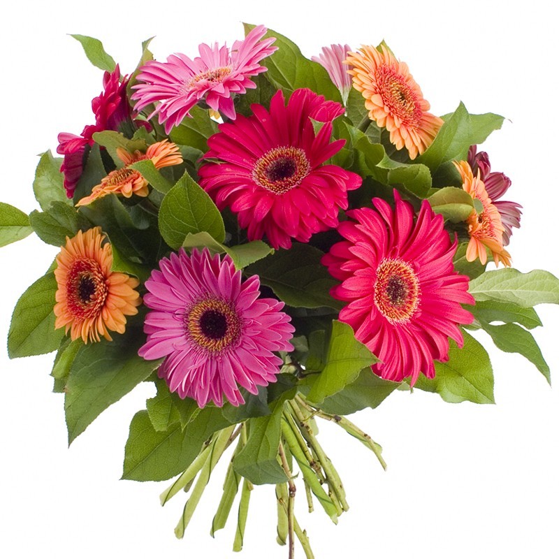 Bouquet rond gerberas et germinis multicolore