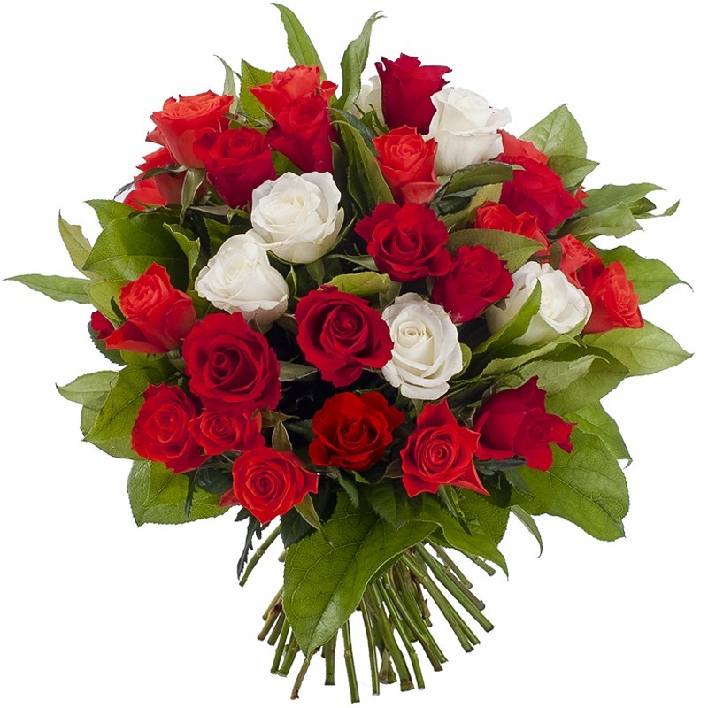 Bouquet de roses rouges et blanches