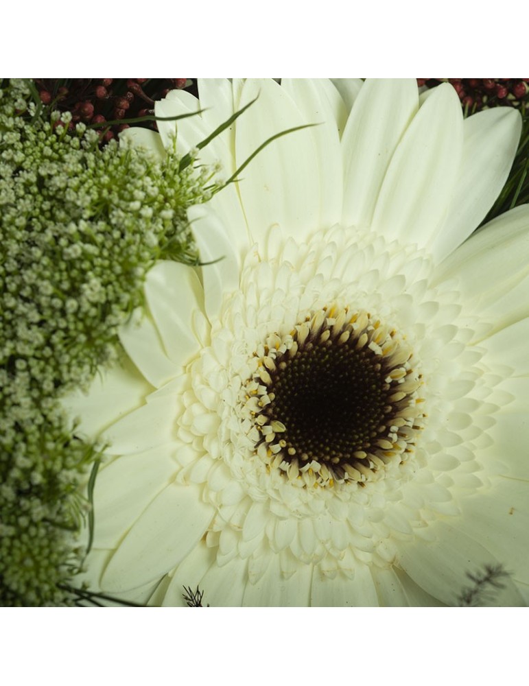 Détail gerbera