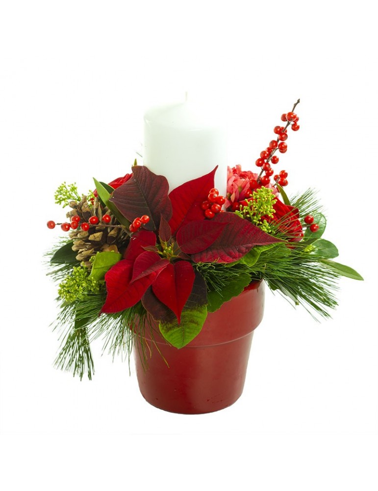 plantation poinsetia et bougie