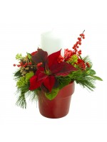 plantation poinsetia et bougie