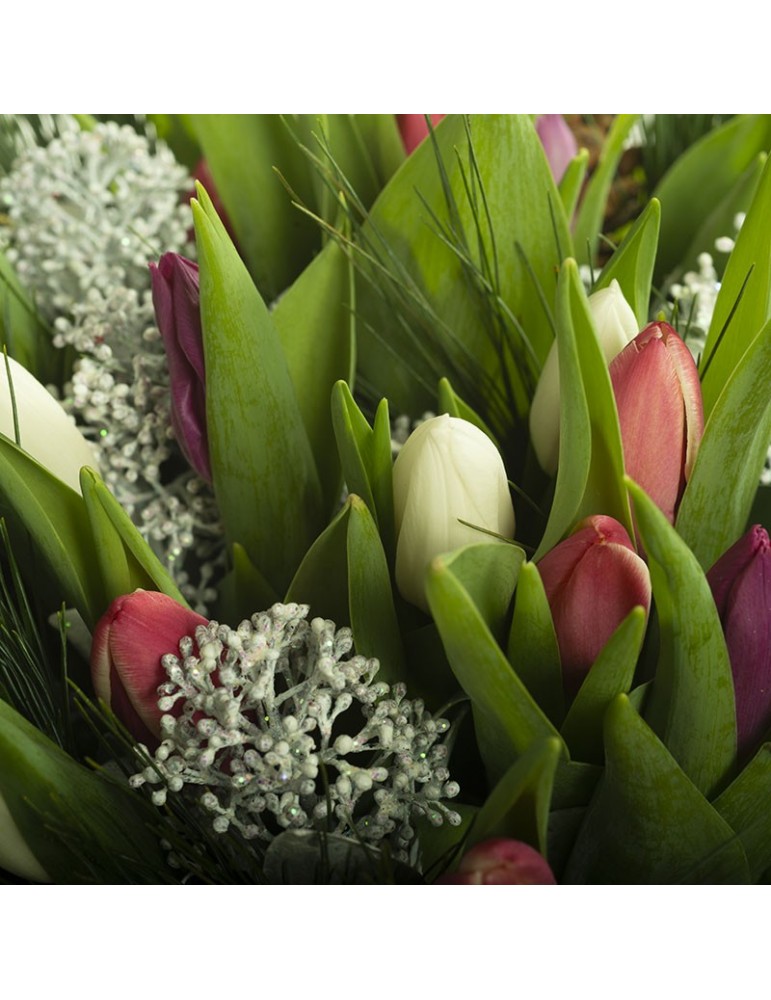 tulipes et skimmia détail