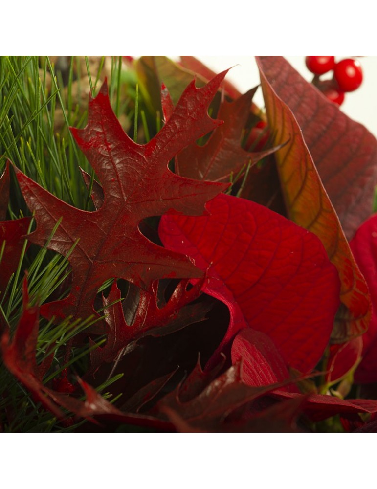 feuillage rouge