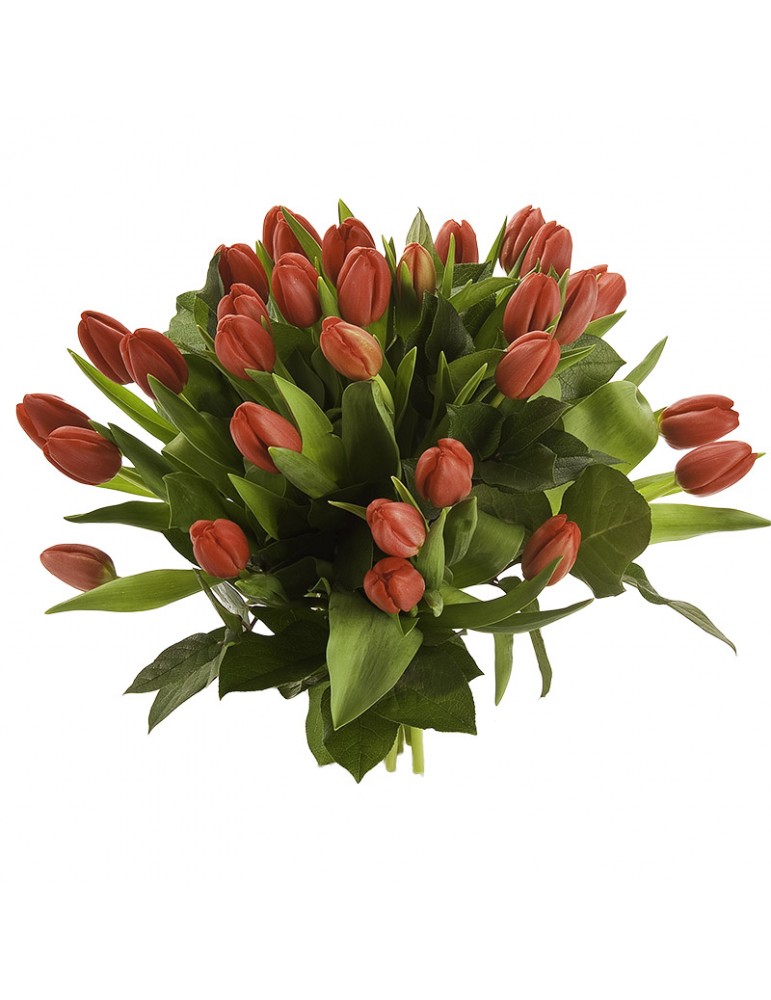 Bouquet de tulipes rouges