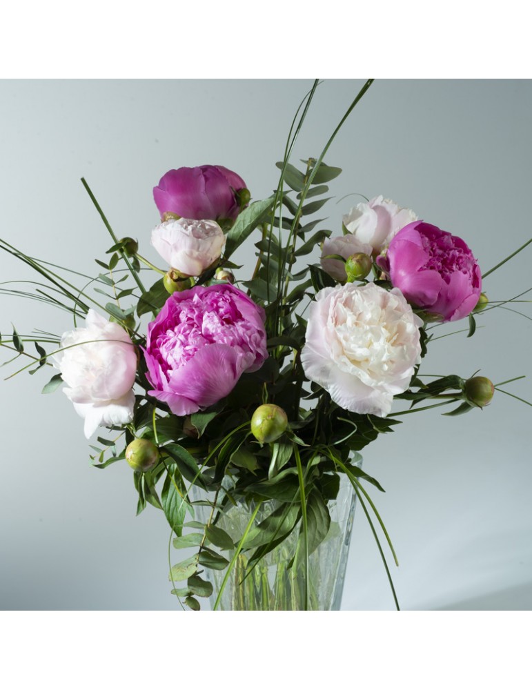 Bouquet de pivoines couleurs multiples