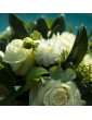 Bouquet confiance