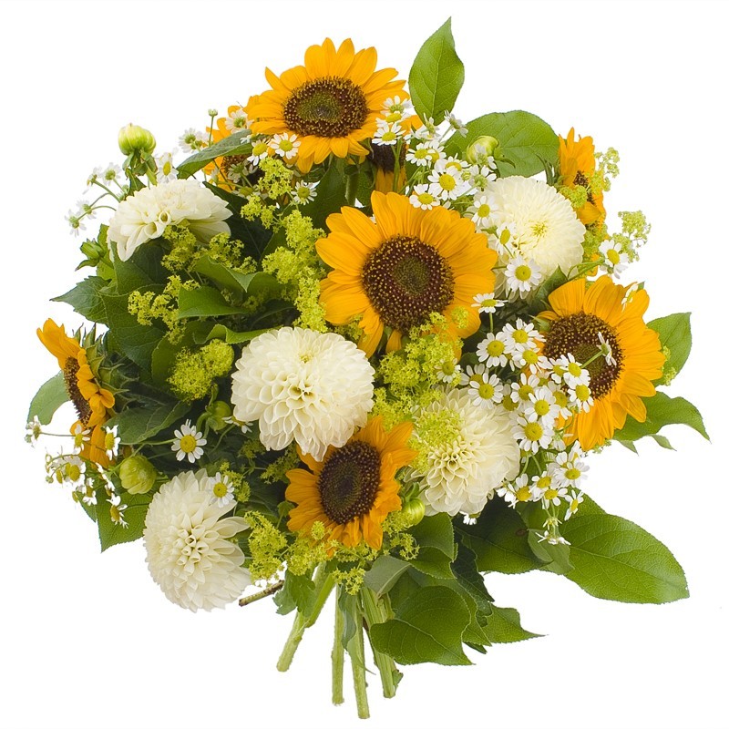 Bouquet de fleurs tournesols et dahlias